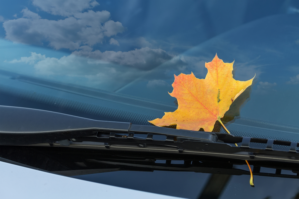 How To Change Your Wiper Blades Euro Car Parts